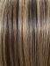 12/27+16+12 Honey Mix Balayage